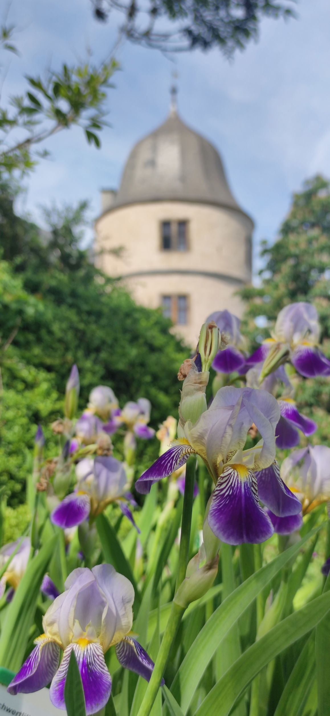 2023-05-31_Mareike Hötger_2